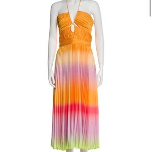Simkhai Ombre pleated gown